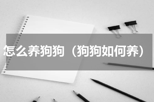 怎么养狗狗（狗狗如何养）