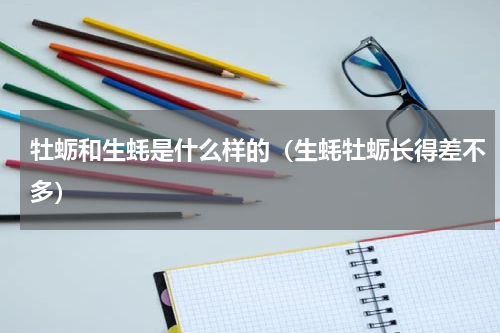 牡蛎和生蚝是什么样的（生蚝牡蛎长得差不多）