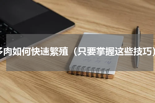 多肉如何快速繁殖（只要掌握这些技巧）