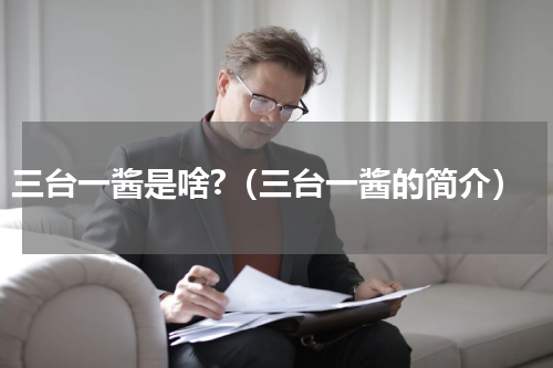 三台一酱是啥?（三台一酱的简介）