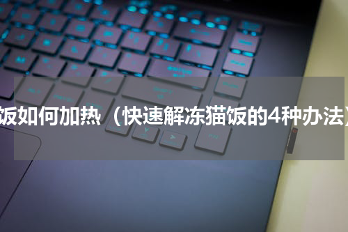 猫饭如何加热（快速解冻猫饭的4种办法）
