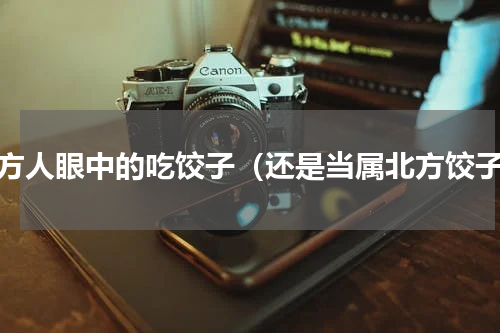 南方人眼中的吃饺子（还是当属北方饺子）