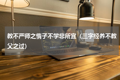 教不严师之惰子不学非所宜（三字经养不教父之过）
