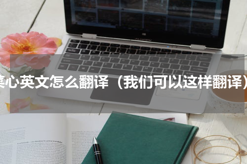 菜心英文怎么翻译（我们可以这样翻译）
