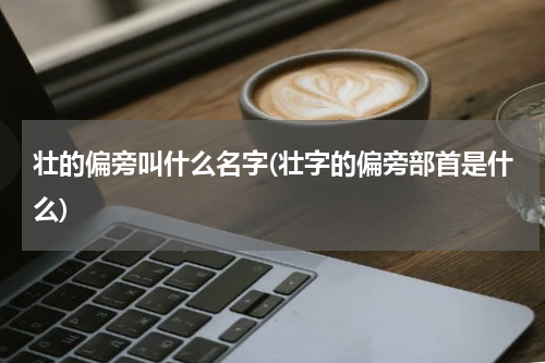 壮的偏旁叫什么名字(壮字的偏旁部首是什么)