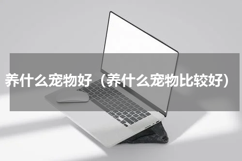 养什么宠物好（养什么宠物比较好）