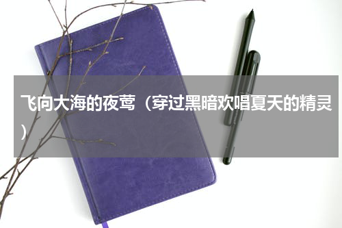飞向大海的夜莺（穿过黑暗欢唱夏天的精灵）
