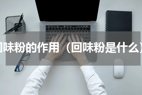 回味粉的作用（回味粉是什么）