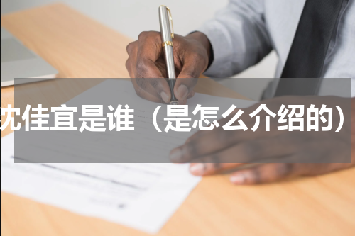 沈佳宜是谁（是怎么介绍的）