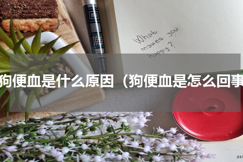 狗狗便血是什么原因（狗便血是怎么回事）