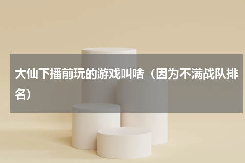 大仙下播前玩的游戏叫啥（因为不满战队排名）
