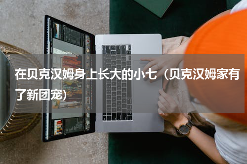 在贝克汉姆身上长大的小七（贝克汉姆家有了新团宠）