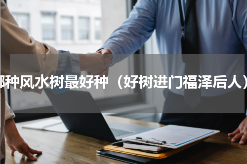 哪种风水树最好种（好树进门福泽后人）
