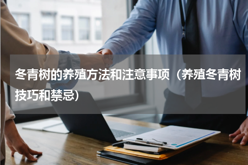 冬青树的养殖方法和注意事项（养殖冬青树技巧和禁忌）
