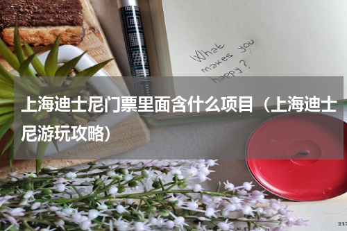 上海迪士尼门票里面含什么项目（上海迪士尼游玩攻略）