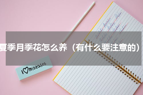 夏季月季花怎么养（有什么要注意的）