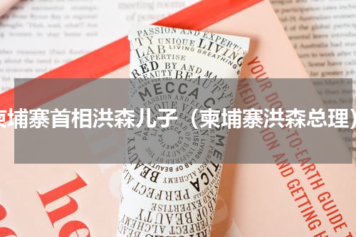 柬埔寨首相洪森儿子（柬埔寨洪森总理）