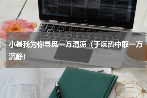 小暑我为你寻觅一方清凉（于燥热中取一方沉静）