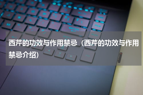 西芹的功效与作用禁忌（西芹的功效与作用禁忌介绍）