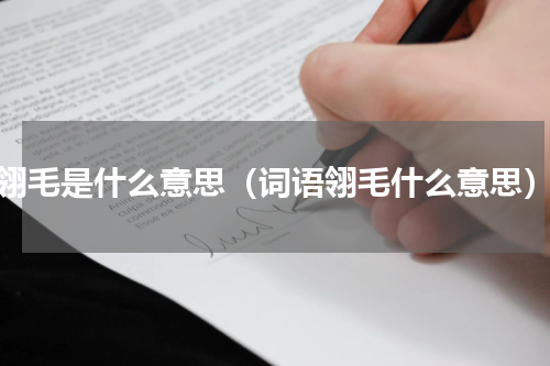 翎毛是什么意思（词语翎毛什么意思）