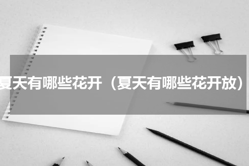 夏天有哪些花开（夏天有哪些花开放）