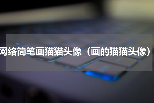 网络简笔画猫猫头像（画的猫猫头像）