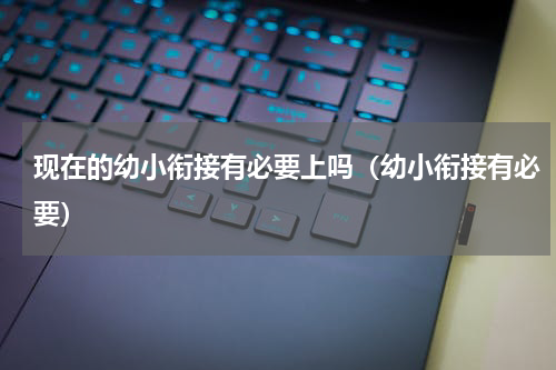 现在的幼小衔接有必要上吗（幼小衔接有必要）