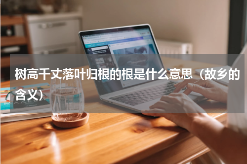 树高千丈落叶归根的根是什么意思（故乡的含义）