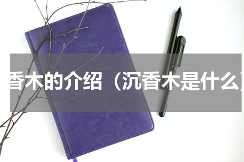 沉香木的介绍（沉香木是什么）