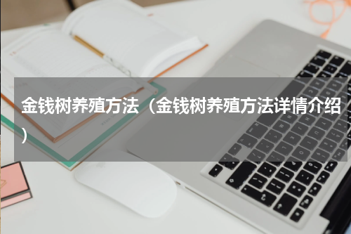 金钱树养殖方法（金钱树养殖方法详情介绍）