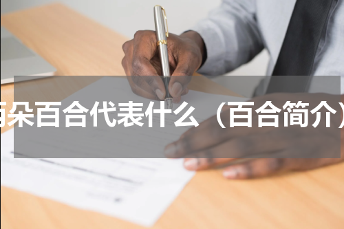 两朵百合代表什么（百合简介）