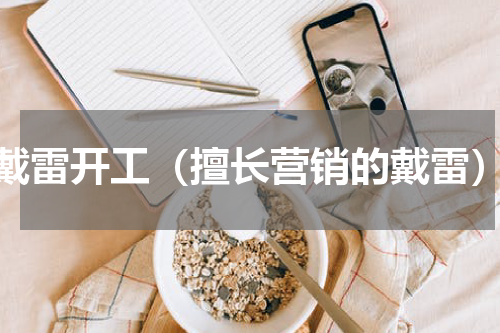 戴雷开工（擅长营销的戴雷）