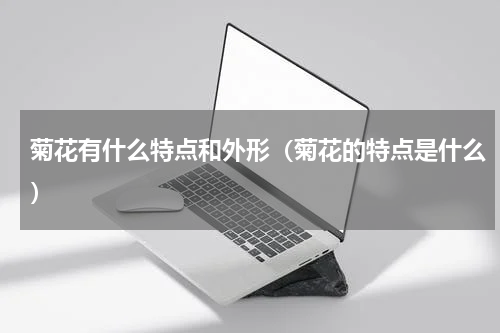 菊花有什么特点和外形（菊花的特点是什么）