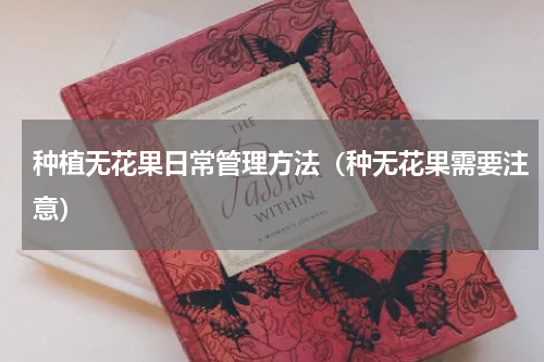 种植无花果日常管理方法（种无花果需要注意）