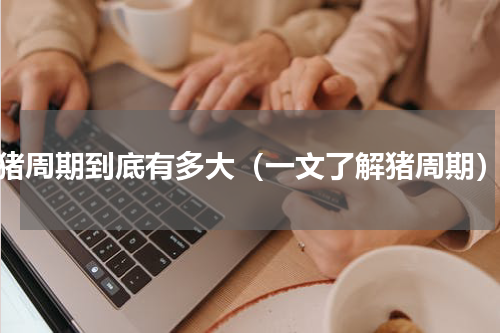 猪周期到底有多大（一文了解猪周期）