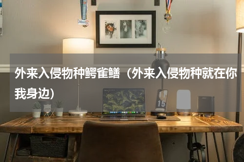 外来入侵物种鳄雀鳝（外来入侵物种就在你我身边）