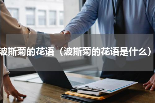 波斯菊的花语（波斯菊的花语是什么）