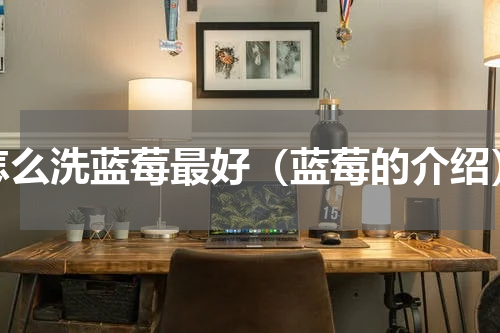 怎么洗蓝莓最好（蓝莓的介绍）