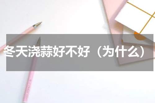 冬天浇蒜好不好（为什么）