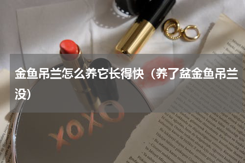 金鱼吊兰怎么养它长得快（养了盆金鱼吊兰没）
