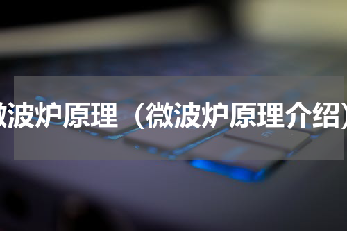 微波炉原理（微波炉原理介绍）