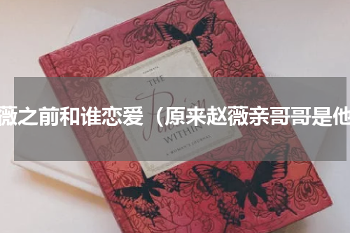 赵薇之前和谁恋爱（原来赵薇亲哥哥是他）