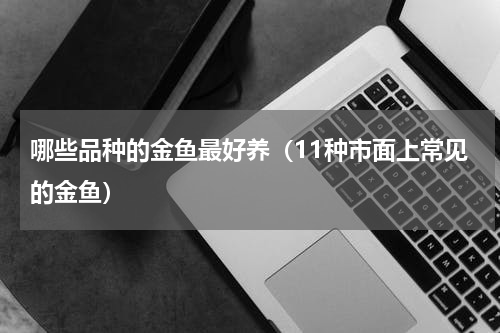 哪些品种的金鱼最好养（11种市面上常见的金鱼）