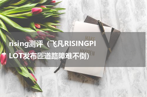 rising测评（飞凡RISINGPILOT发布匝道路障难不倒）