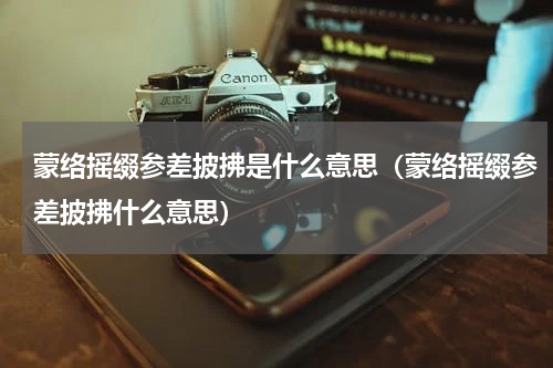 蒙络摇缀参差披拂是什么意思（蒙络摇缀参差披拂什么意思）
