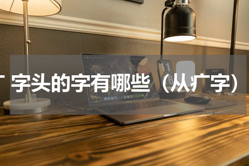 疒 字头的字有哪些（从疒字）