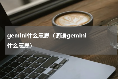 gemini什么意思（词语gemini什么意思）