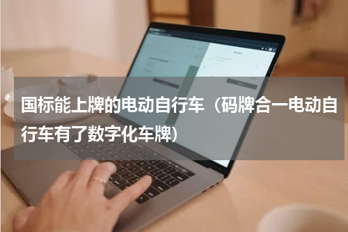 国标能上牌的电动自行车（码牌合一电动自行车有了数字化车牌）