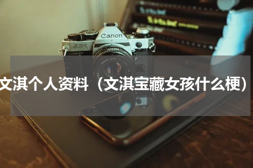 文淇个人资料（文淇宝藏女孩什么梗）