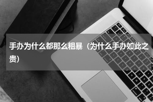 手办为什么都那么粗暴（为什么手办如此之贵）